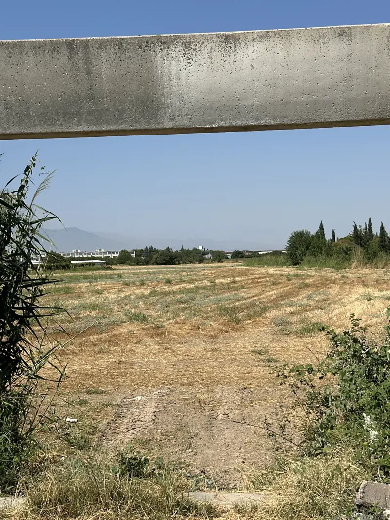 Gürlek Mah., Satılık, Tarla, 64.531 m² — fotoğraf 2