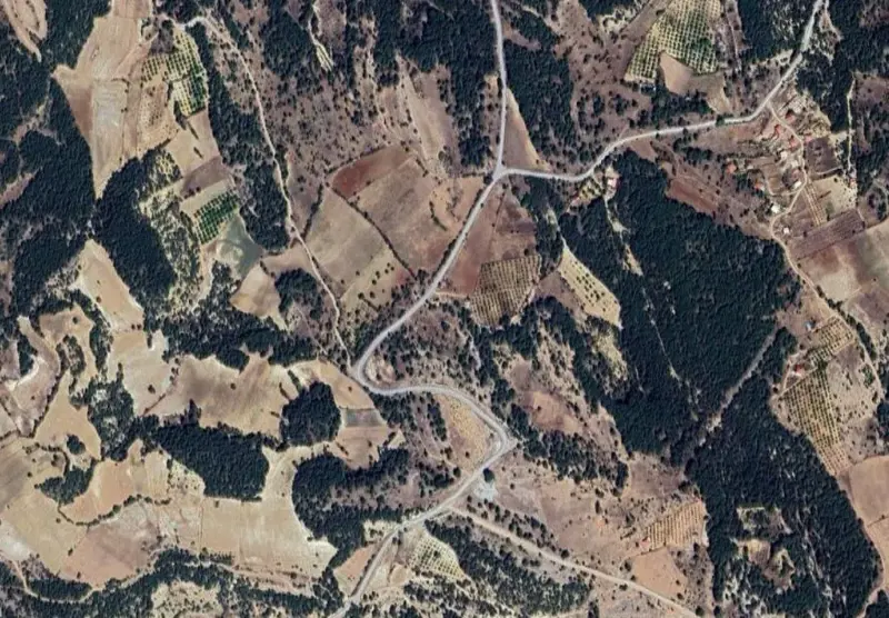 2183.jpg