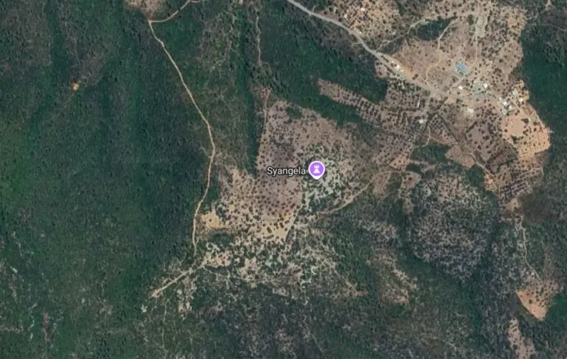 bolge-uydu-gorseli.png