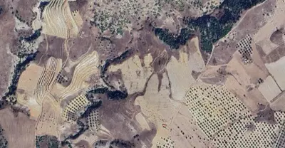 Denizli, Pamukkale, Satılık, Tarla