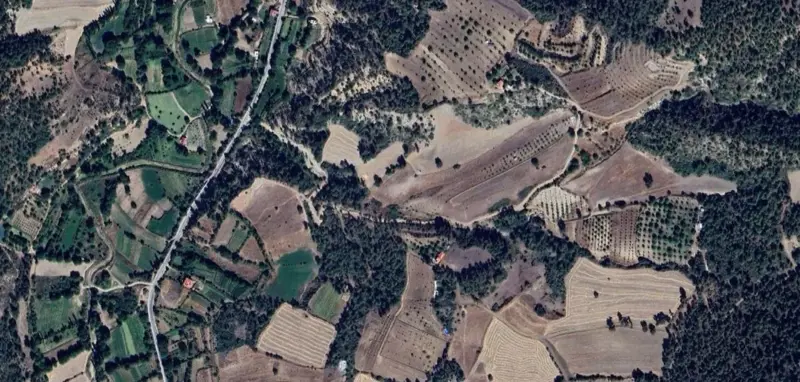 134.jpg