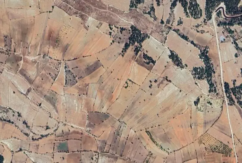 1944.jpg
