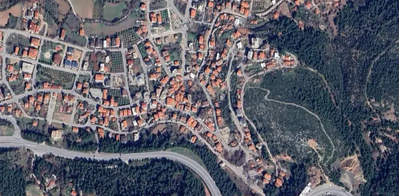95.jpg