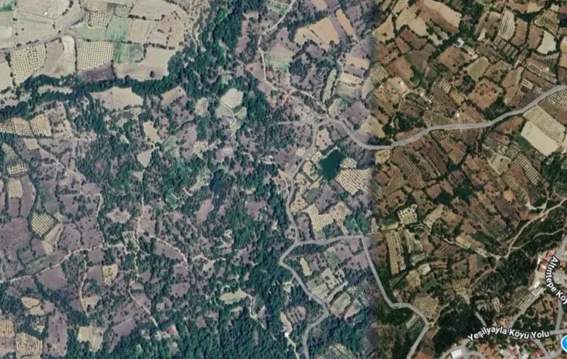 Yeşilyayla Mah., Satılık, Tarla, 808 m² — fotoğraf 2