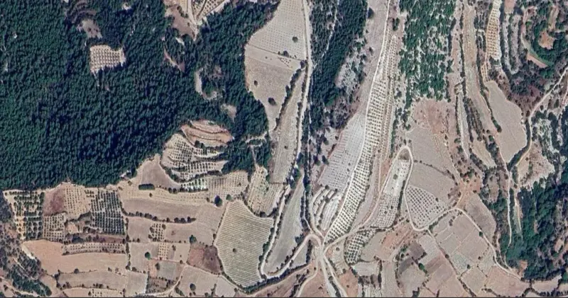 471.jpg