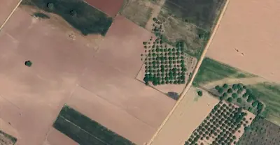 Denizli, Tavas, Satılık, Tarla