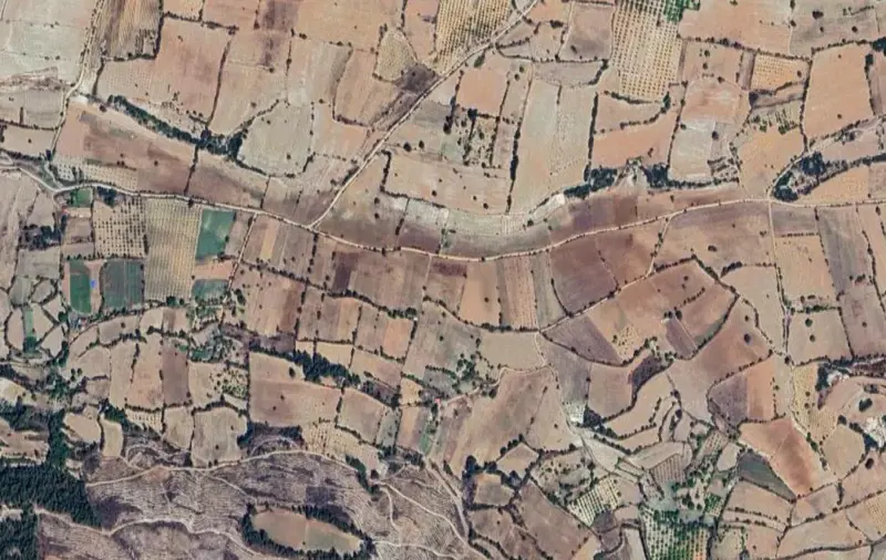 2256.jpg
