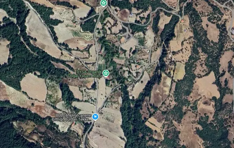 Bursa Mah., Satılık, Tarla, 6.421 m² — fotoğraf 2