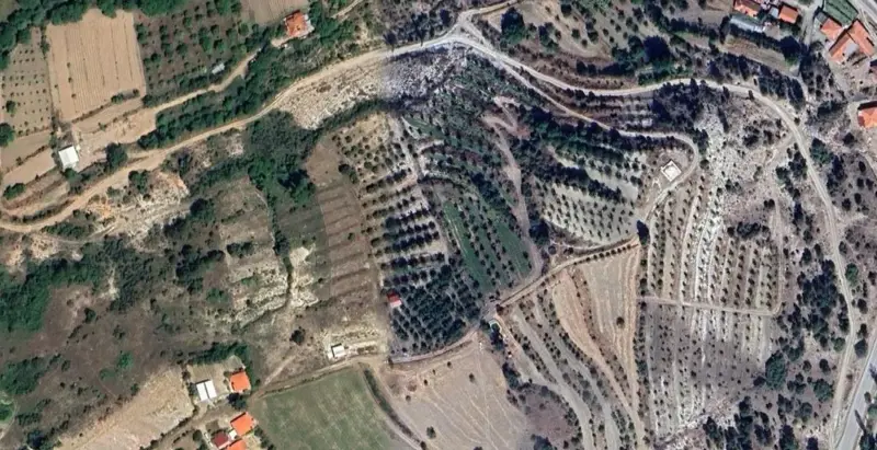 977.jpg
