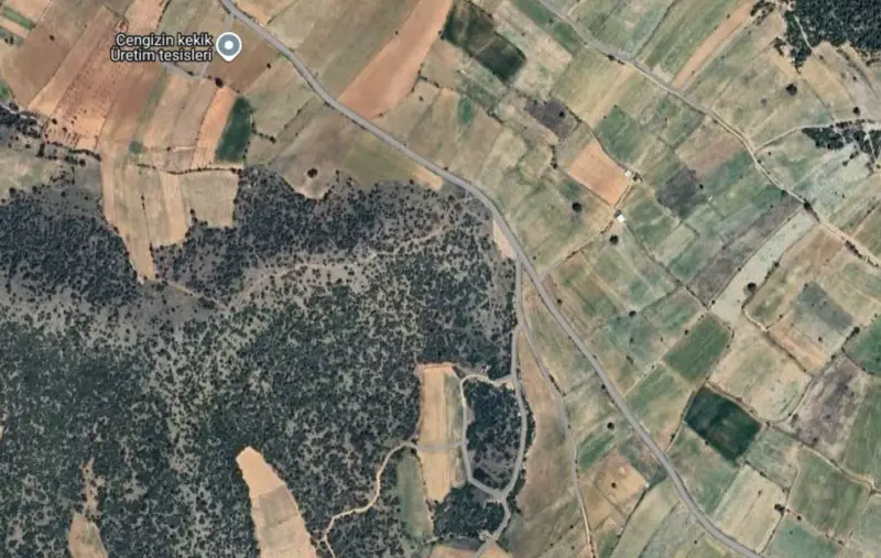 Güzelpınar Mah., Satılık, Tarla, 5.147 m² — fotoğraf 1