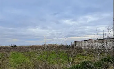 Denizli, Sarayköy, Satılık, Tarla