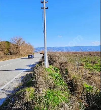 Denizli, Sığma, Tarla