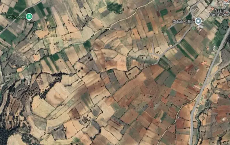 Güzelpınar Mah., Satılık, Tarla, 5.979 m² — fotoğraf 1