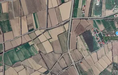 Denizli, Pamukkale, Tarla