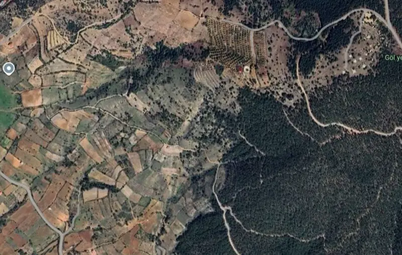 Güzelpınar Mah., Satılık, Tarla, 2.919 m² — fotoğraf 2