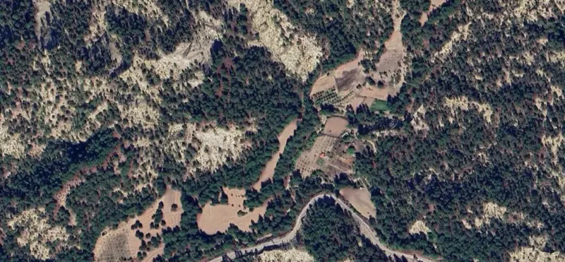 963.jpg