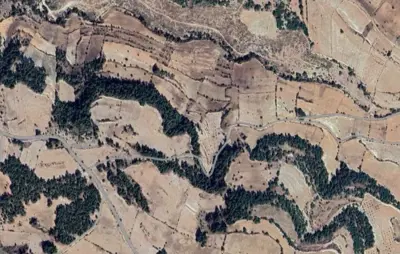 Belenardıç Mah., Satılık, Tarla, 6.221 m²