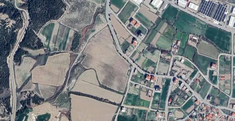 925.jpg