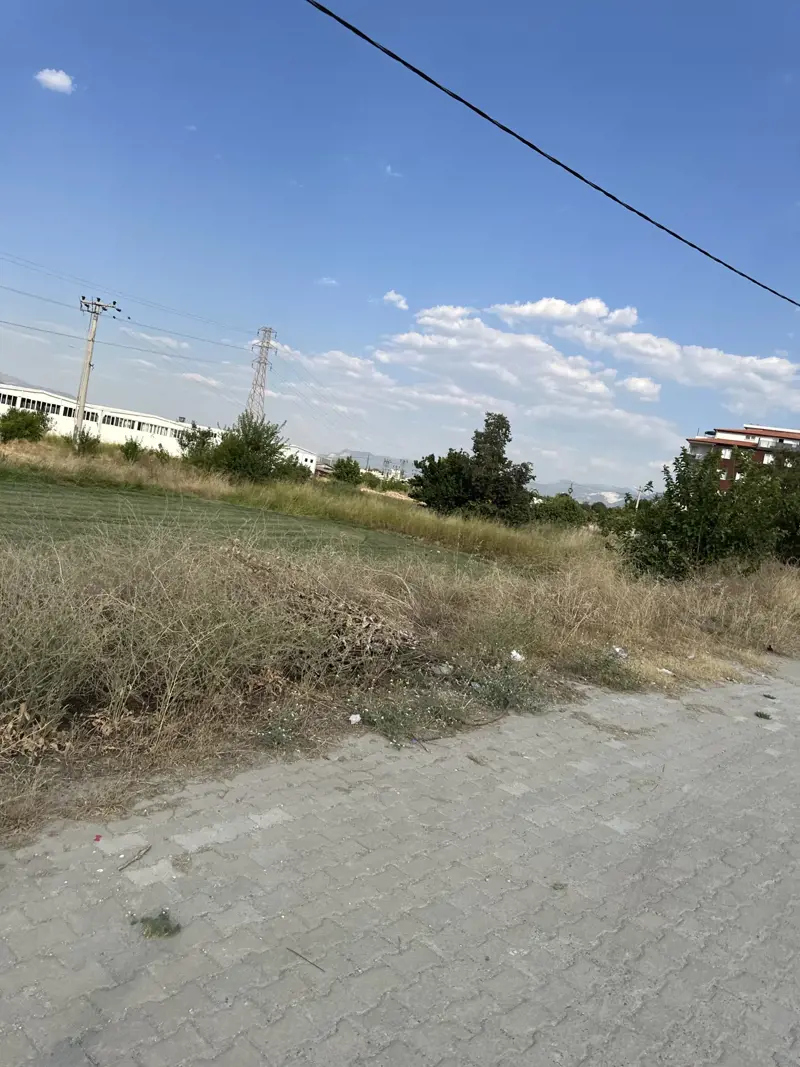foto2.jpg