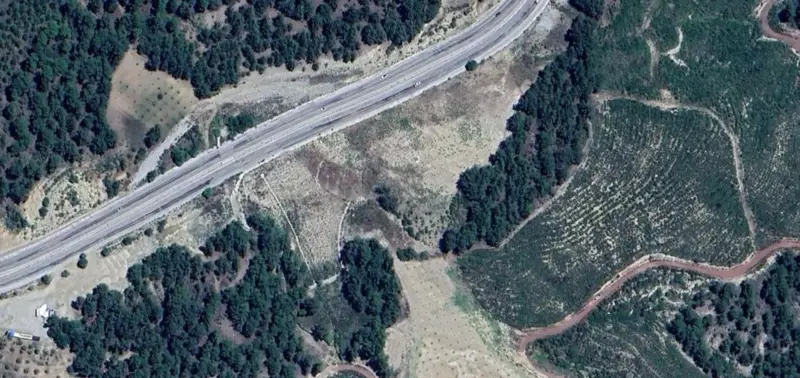 873.jpg
