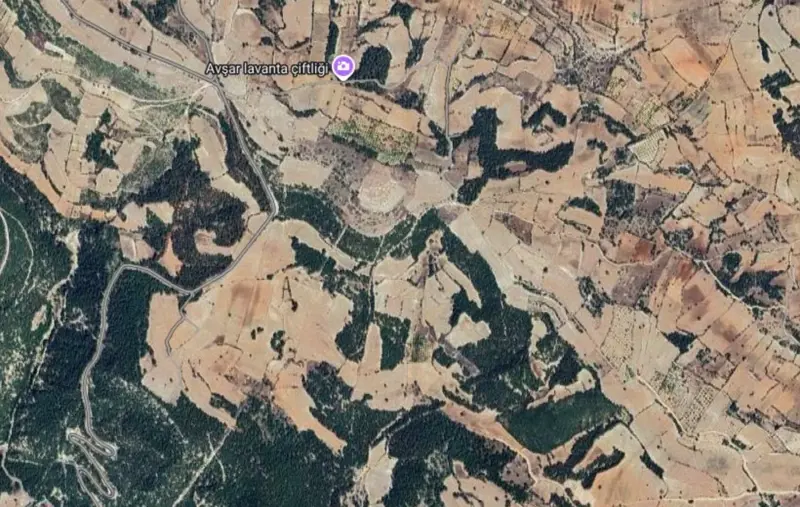 Akçapınar Mah., Satılık, Tarla, 4.947 m² — fotoğraf 2