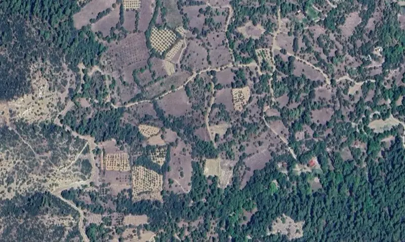 896.jpg