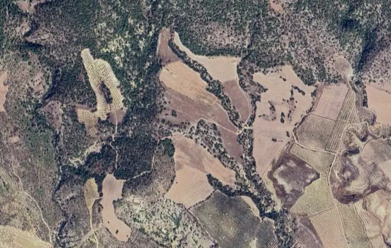 Oğuz Mah., Satılık, Tarla, 4.772 m² — fotoğraf 2