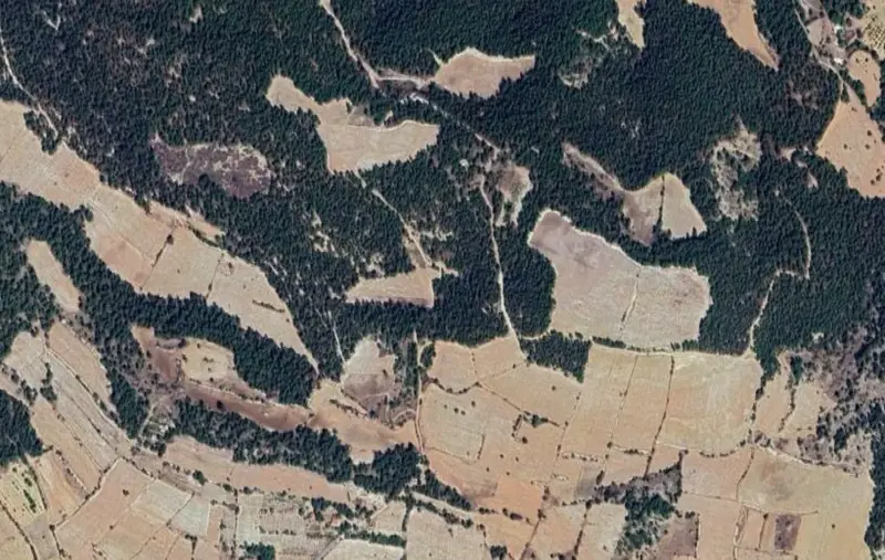 Akçapınar Mah., Satılık, Tarla, 21.541 m² — fotoğraf 2