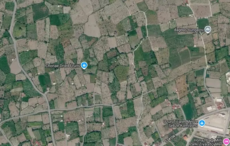 Hürriyet Mah., Satılık, Tarla, 3.874 m² — fotoğraf 2