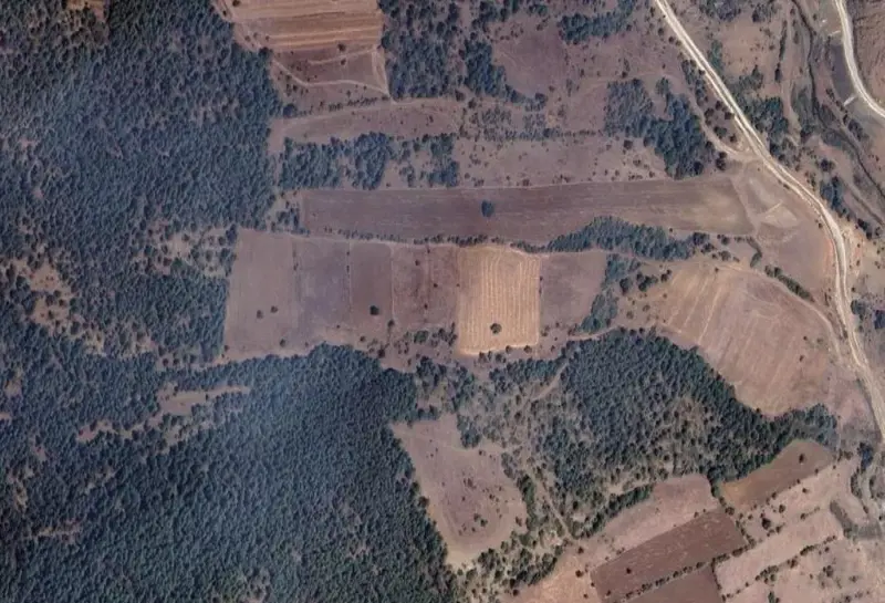 1741.jpg