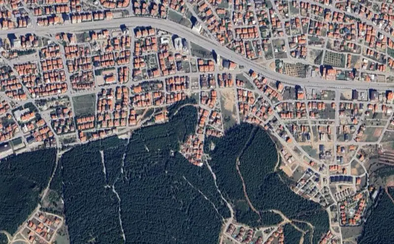 2126.jpg
