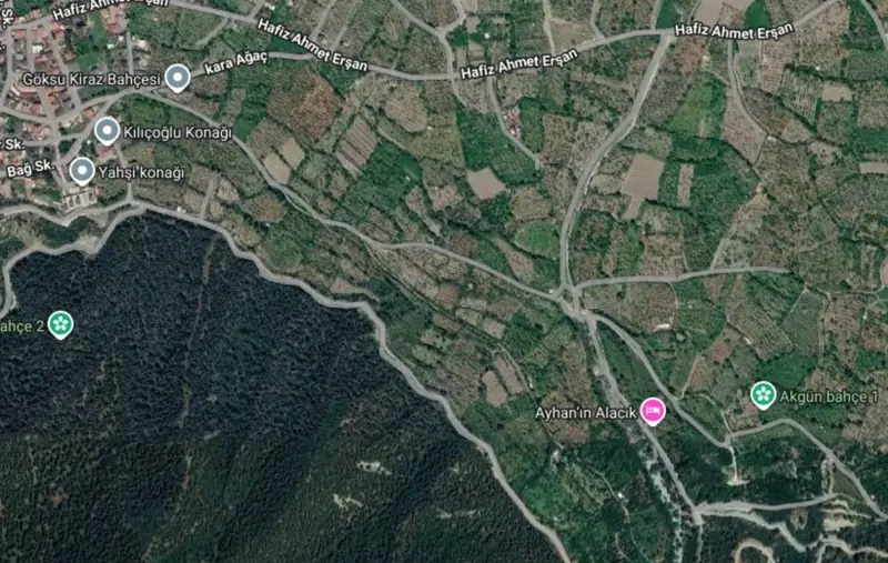Yeni Mah., Satılık, Tarla, 5.965 m² — fotoğraf 2