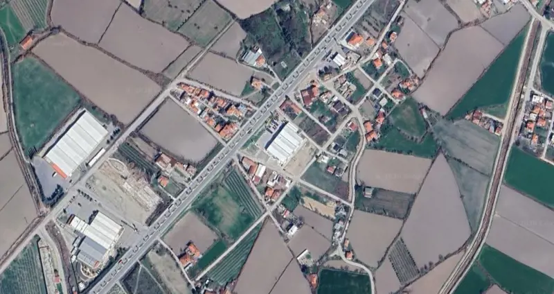 1596.jpg