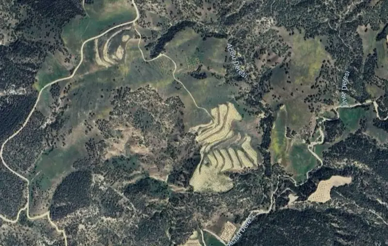 Güzelpınar Mah., Satılık, Tarla, 19.588 m² — fotoğraf 2
