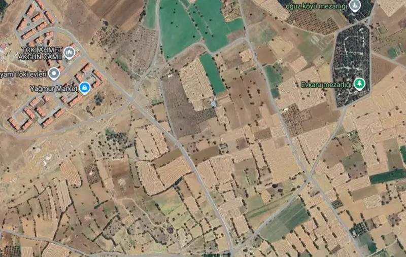 Oğuz Mah., Satılık, Tarla, 11.964 m² — fotoğraf 2