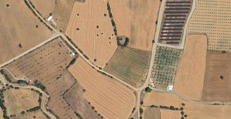 410.jpg