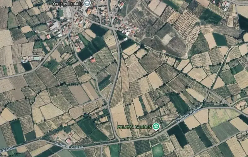 Denizli, Yeniköy, Tarla — fotoğraf 2