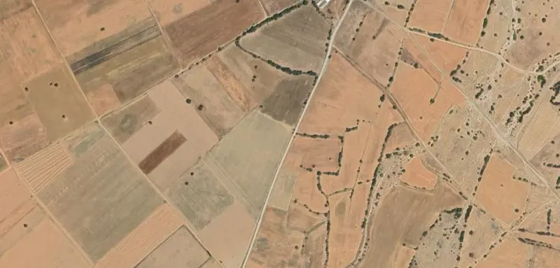 1063.jpg