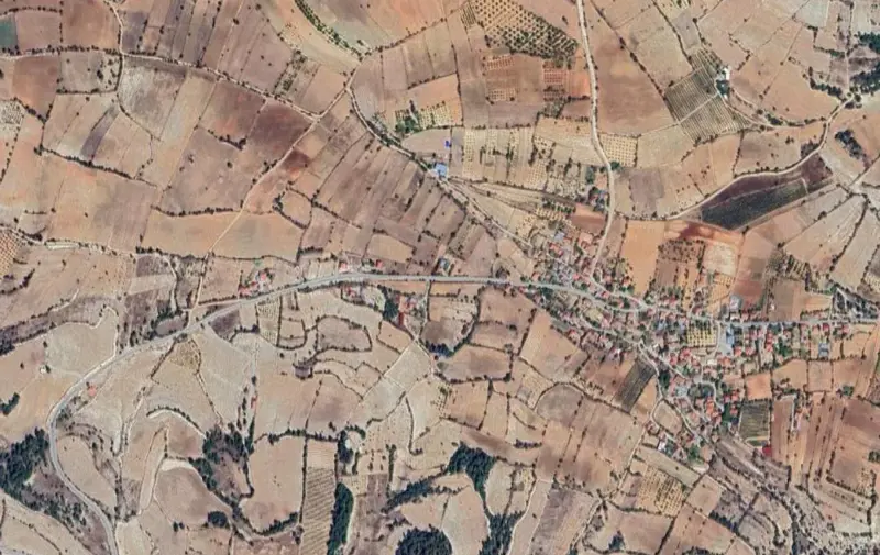 2191.jpg