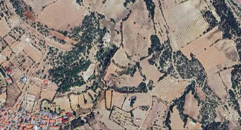 148.jpg