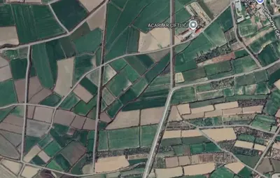 Denizli, Kavakbaşı, Tarla
