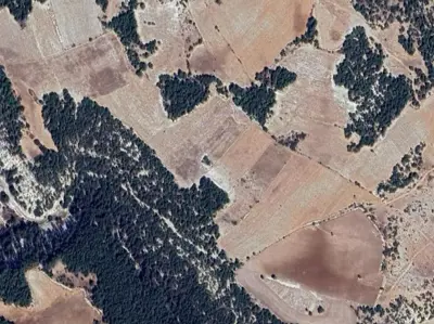 Denizli, Pamukkale, Satılık, Tarla