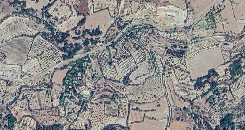 817.jpg