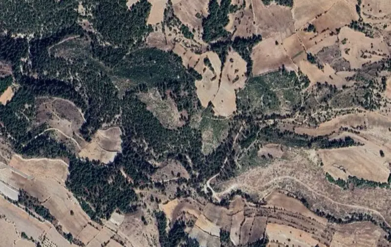 Belenardıç Mah., Satılık, Tarla, 23.030 m² — fotoğraf 2