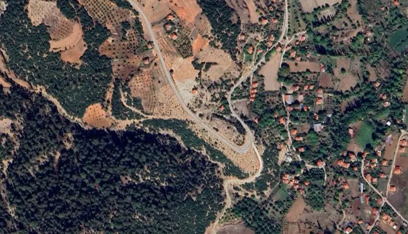 237.jpg