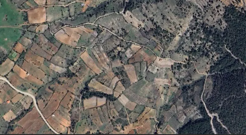 315.jpg