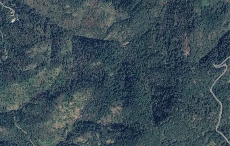 bolge-uydu-gorseli.png
