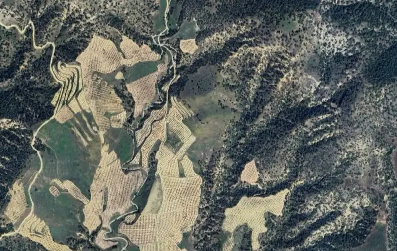 Güzelpınar Mah., Satılık, Tarla, 10.878 m² — fotoğraf 2