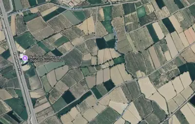 Denizli, Küçükdere, Tarla