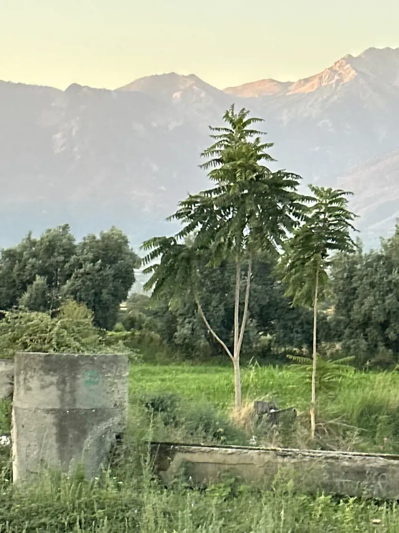 Gürlek Mah., Satılık, Tarla — fotoğraf 2